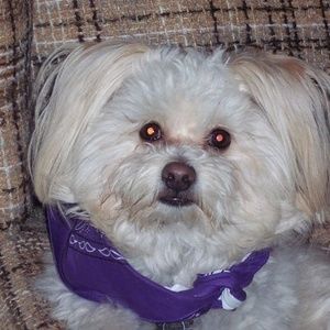 Meet your Posher, Jana